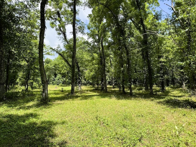 000 Wilderness Way, Anderson, MO 64831 - photo 5