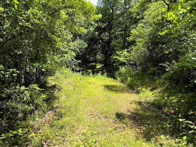 000 Wilderness Way, Anderson, MO 64831 - photo 15