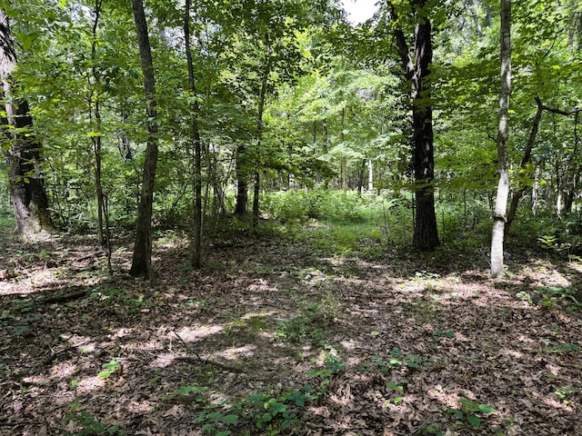 000 Wilderness Way, Anderson, MO 64831 - photo 13