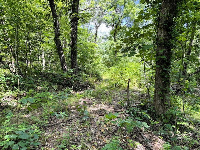 000 Wilderness Way, Anderson, MO 64831 - photo 24