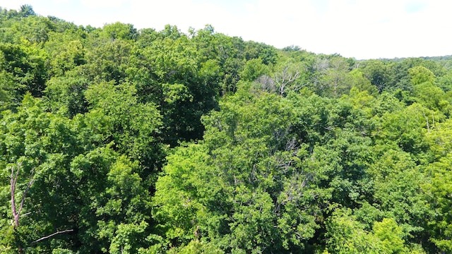 000 Wilderness Way, Anderson, MO 64831 - photo 11