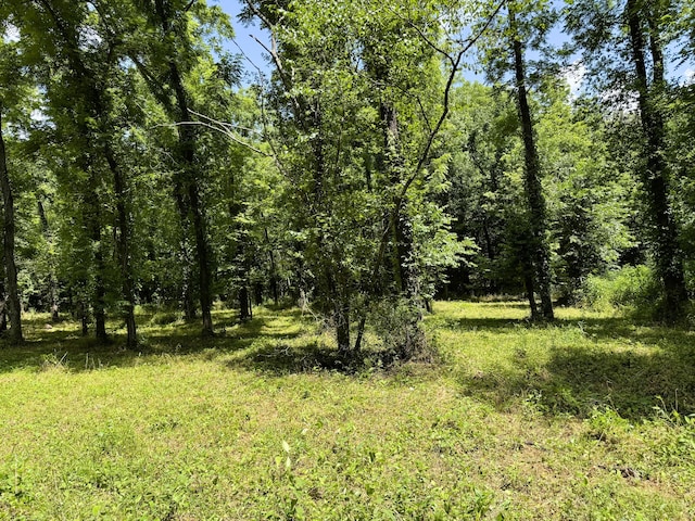 000 Wilderness Way, Anderson, MO 64831 - photo 9