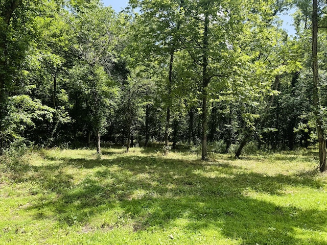 000 Wilderness Way, Anderson, MO 64831 - photo 8