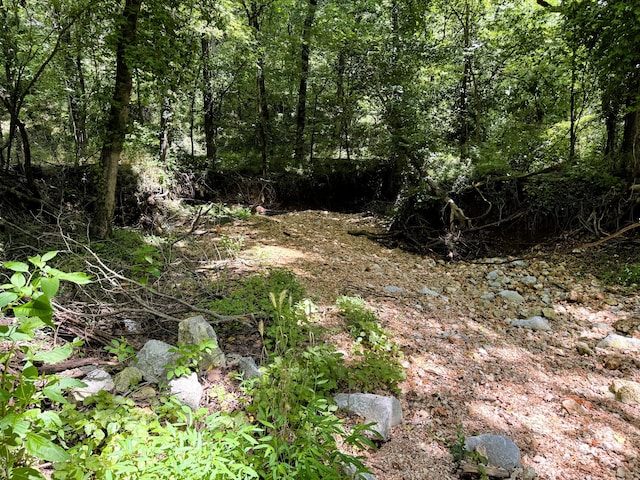 000 Wilderness Way, Anderson, MO 64831 - photo 3