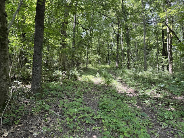 000 Wilderness Way, Anderson, MO 64831 - photo 12