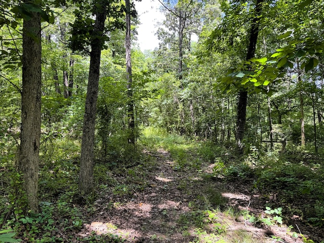 000 Wilderness Way, Anderson, MO 64831 - photo 14