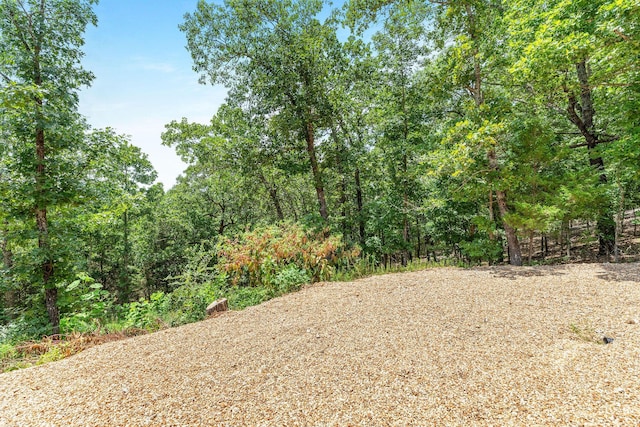 500 Briggs Rd, Walnut Shade, MO 65771 - photo 23