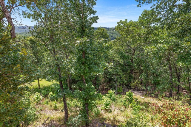 500 Briggs Rd, Walnut Shade, MO 65771 - photo 22