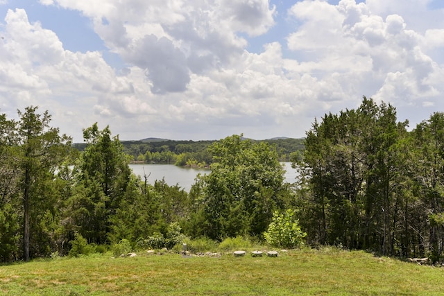 4644 State Highway Yy, Shell Knob, MO 65747 - photo 2