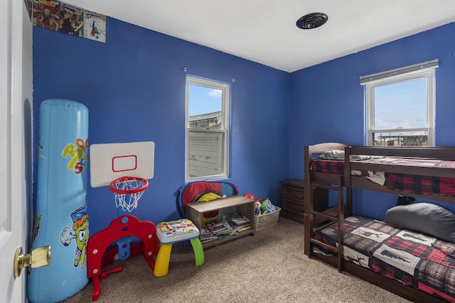 513 Maple St, Greenfield, MO 65661 - photo 13