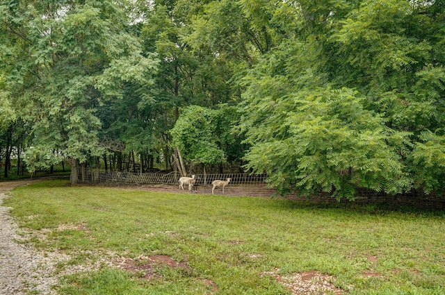 18013 Lawrence Unit 2167, Aurora, MO 65605 - photo 33