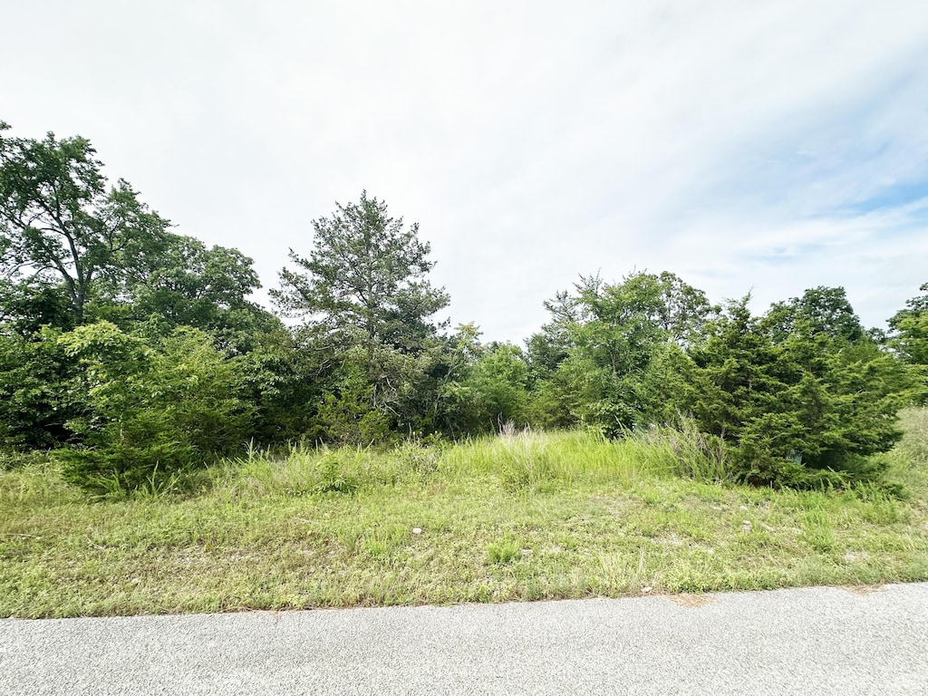 235 Shady Oaks Shr Lot 45, Forsyth, MO 65653 - photo 1