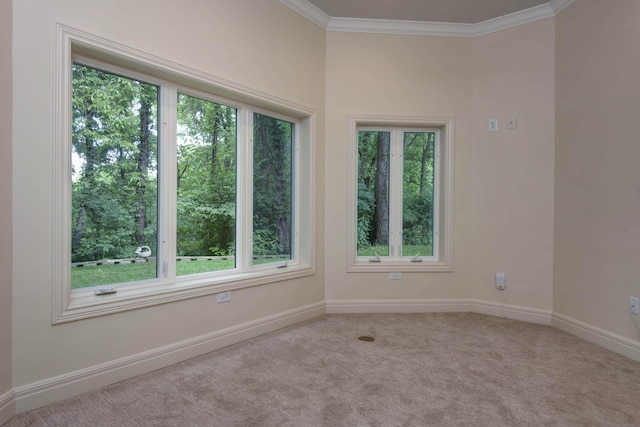 458 S Oaks Dr, Springfield, MO 65809 - photo 45