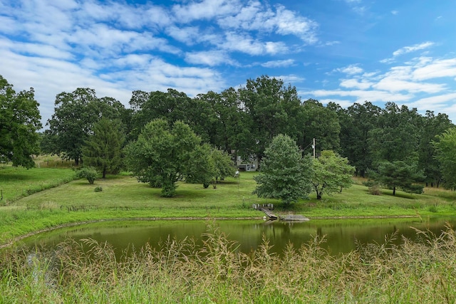 14599 W Farm Road 60, Ash Grove, MO 65604 - photo 46