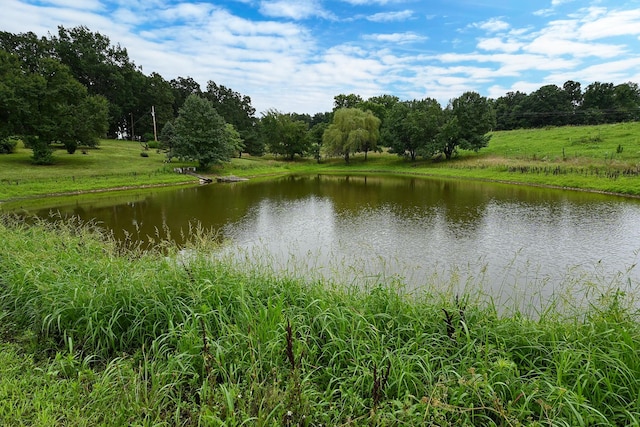 14599 W Farm Road 60, Ash Grove, MO 65604 - photo 40