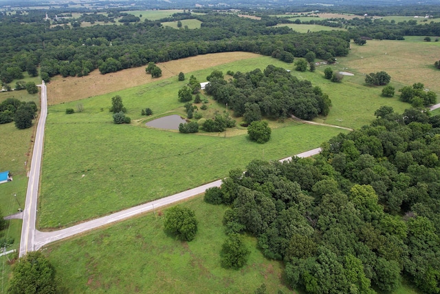 14599 W Farm Road 60, Ash Grove, MO 65604 - photo 43