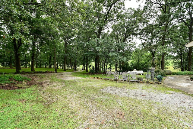 14599 W Farm Road 60, Ash Grove, MO 65604 - photo 50