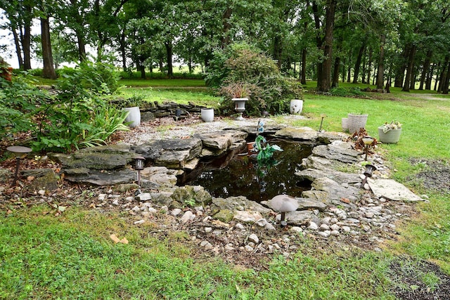 14599 W Farm Road 60, Ash Grove, MO 65604 - photo 53