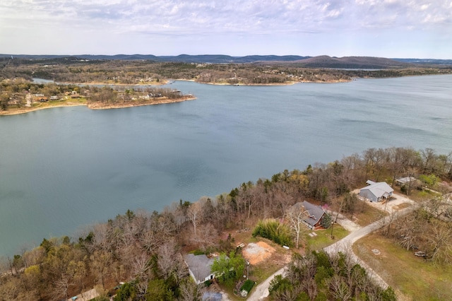 732 Lake Rd, Shell Knob, MO 65747 - photo 24