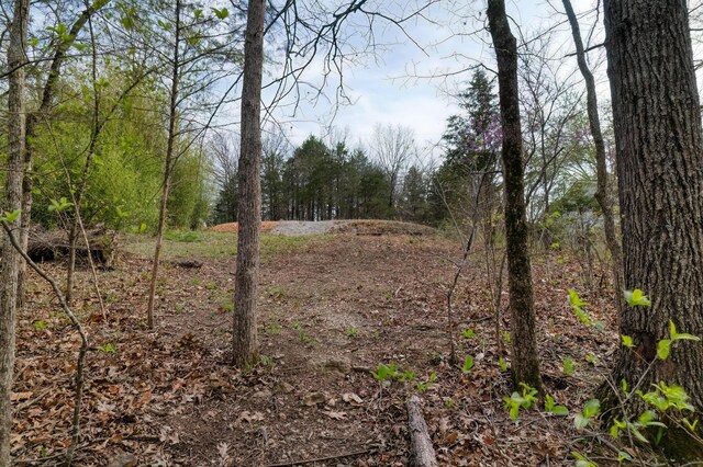 732 Lake Rd, Shell Knob, MO 65747 - photo 14