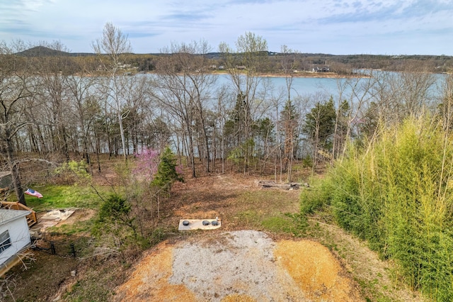 732 Lake Rd, Shell Knob, MO 65747 - photo 7