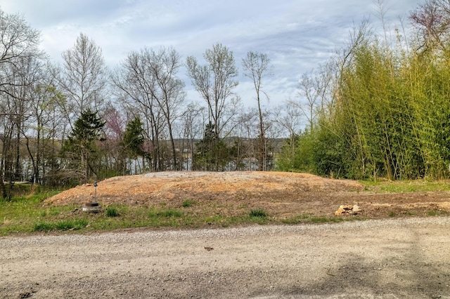 732 Lake Rd, Shell Knob, MO 65747 - photo 11