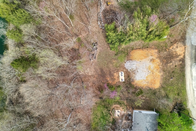 732 Lake Rd, Shell Knob, MO 65747 - photo 5