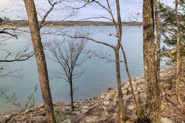 732 Lake Rd, Shell Knob, MO 65747 - photo 18