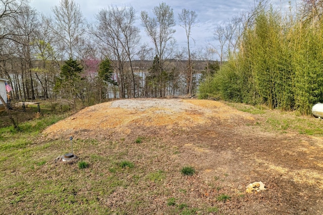 732 Lake Rd, Shell Knob, MO 65747 - photo 9