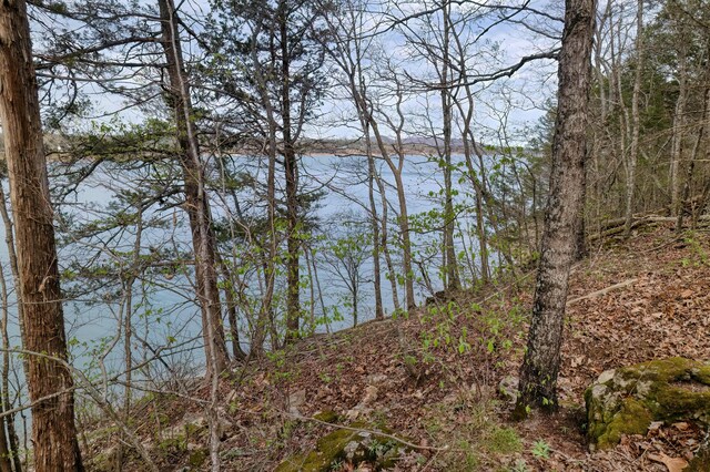 732 Lake Rd, Shell Knob, MO 65747 - photo 20