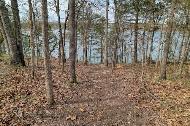 732 Lake Rd, Shell Knob, MO 65747 - photo 16