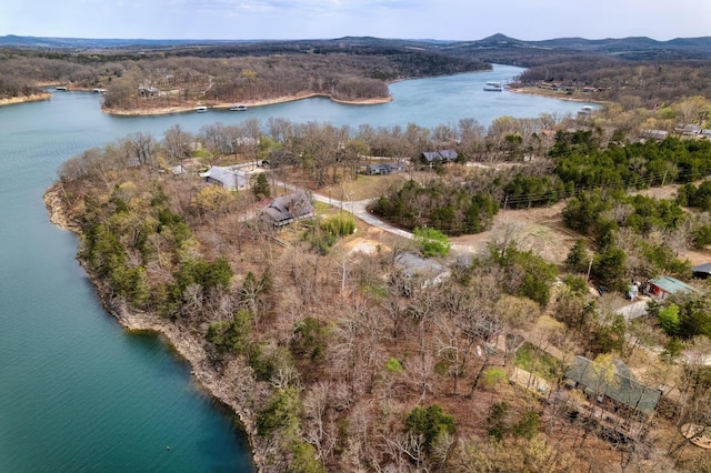 732 Lake Rd, Shell Knob, MO 65747 - photo 25