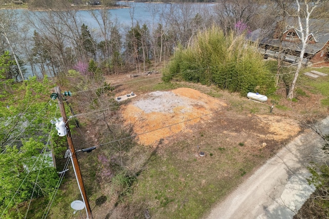 732 Lake Rd, Shell Knob, MO 65747 - photo 6