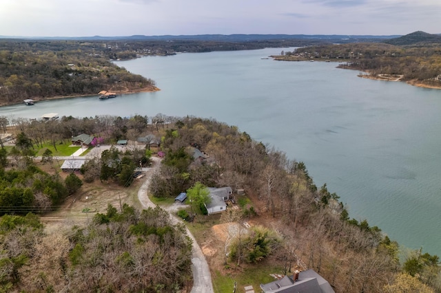 732 Lake Rd, Shell Knob, MO 65747 - photo 22