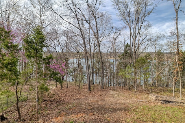 732 Lake Rd, Shell Knob, MO 65747 - photo 13