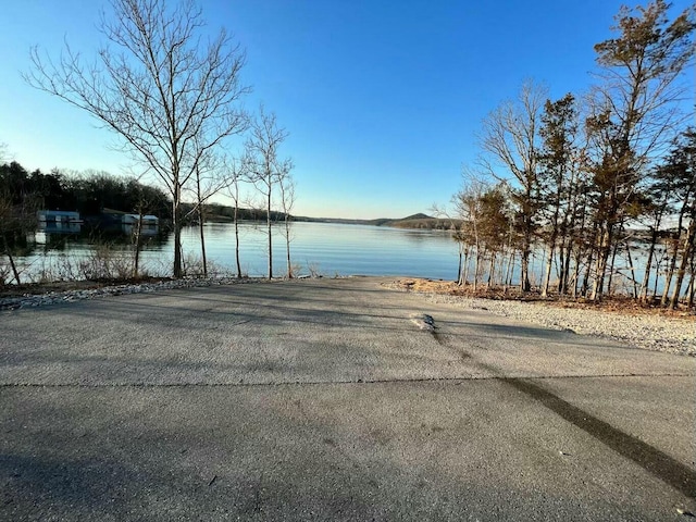 732 Lake Rd, Shell Knob, MO 65747 - photo 28