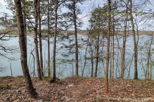 732 Lake Rd, Shell Knob, MO 65747 - photo 21