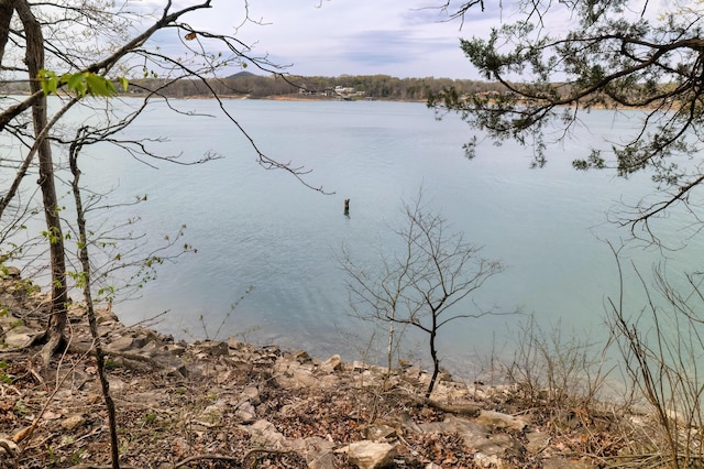 732 Lake Rd, Shell Knob, MO 65747 - photo 19
