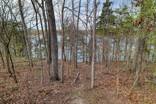 732 Lake Rd, Shell Knob, MO 65747 - photo 15