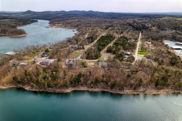 732 Lake Rd, Shell Knob, MO 65747 - photo 26