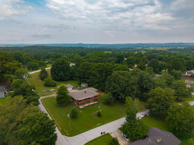 1904 Lakeview Dr, Ava, MO 65608 - photo 58