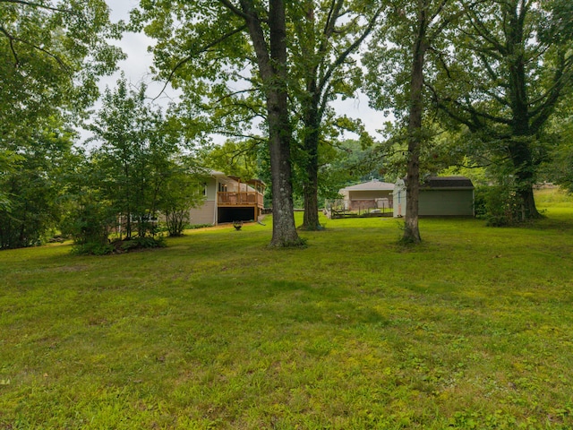 1904 Lakeview Dr, Ava, MO 65608 - photo 61