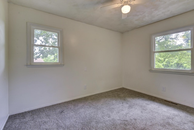 103 Elementary Rd, Reeds Spring, MO 65737 - photo 18