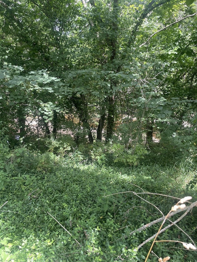 10955 State Higway 39, Aurora, MO 65605 - photo 8