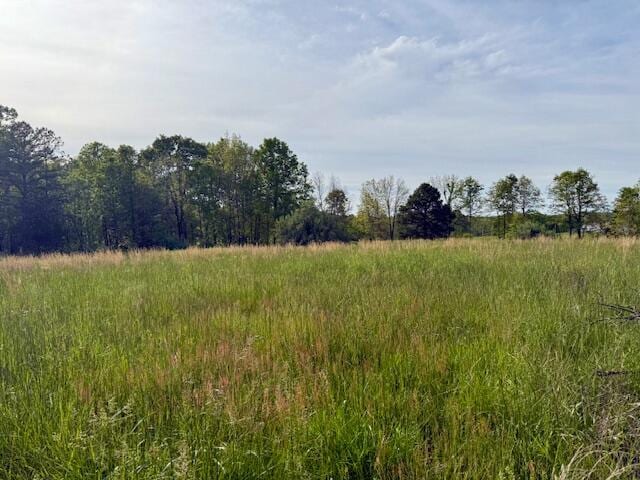 9386 County Road 2660, West Plains, MO 65775 - photo 35