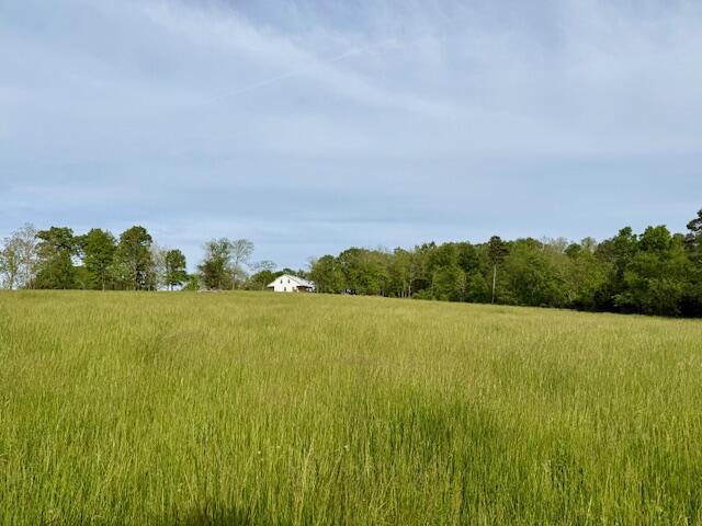 9386 County Road 2660, West Plains, MO 65775 - photo 31