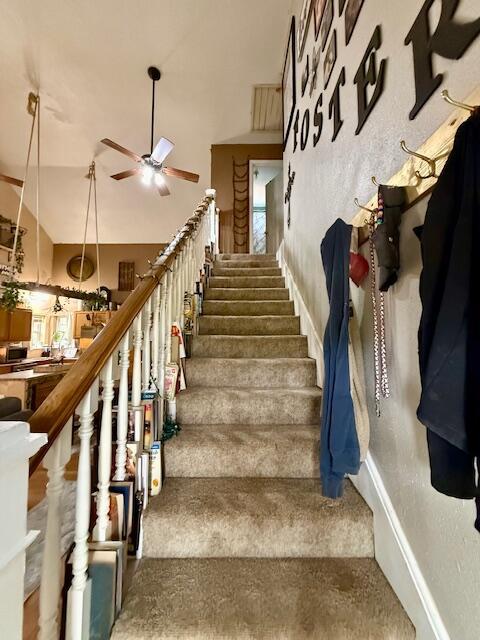 9386 County Road 2660, West Plains, MO 65775 - photo 18
