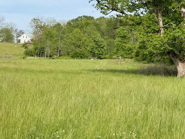 9386 County Road 2660, West Plains, MO 65775 - photo 29