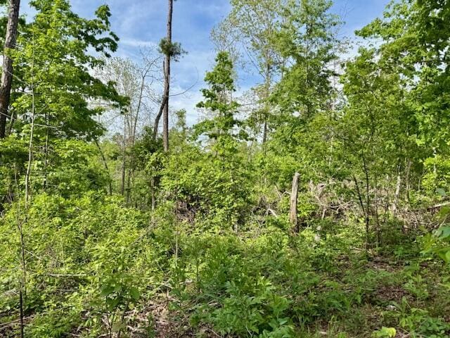 9386 County Road 2660, West Plains, MO 65775 - photo 44