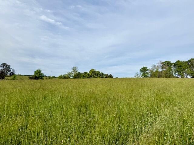 9386 County Road 2660, West Plains, MO 65775 - photo 32